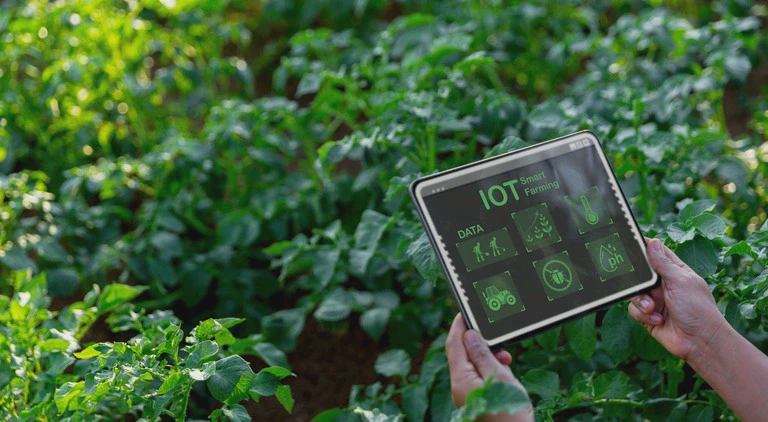 Ręce trzymające tablet